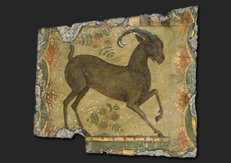 Peloponnesian Goat